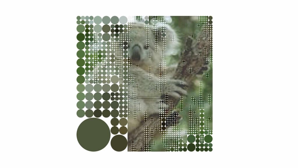 websites with unexpected interactions koalas to the max click to reveal image websites 