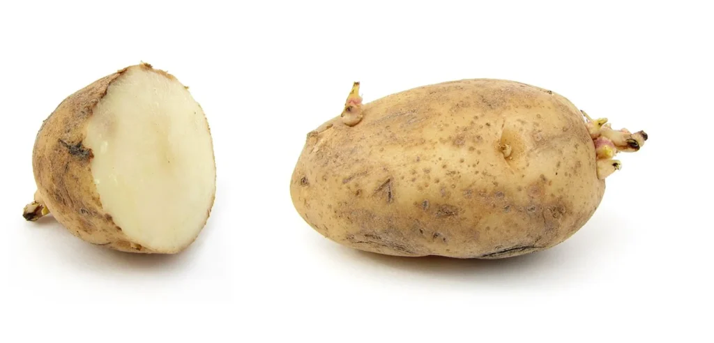 Po.ta.to pointless website minimal fun site to visit when bored online